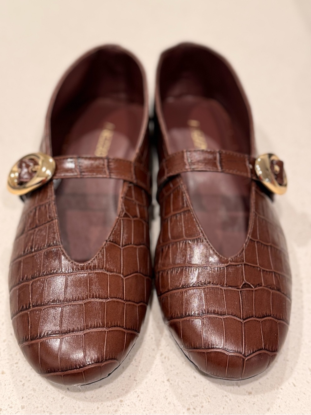 NIB Arezzo Erica Croc Embossed Mary Jane Ballet Flats Brown Hot Brandy 6B⁠